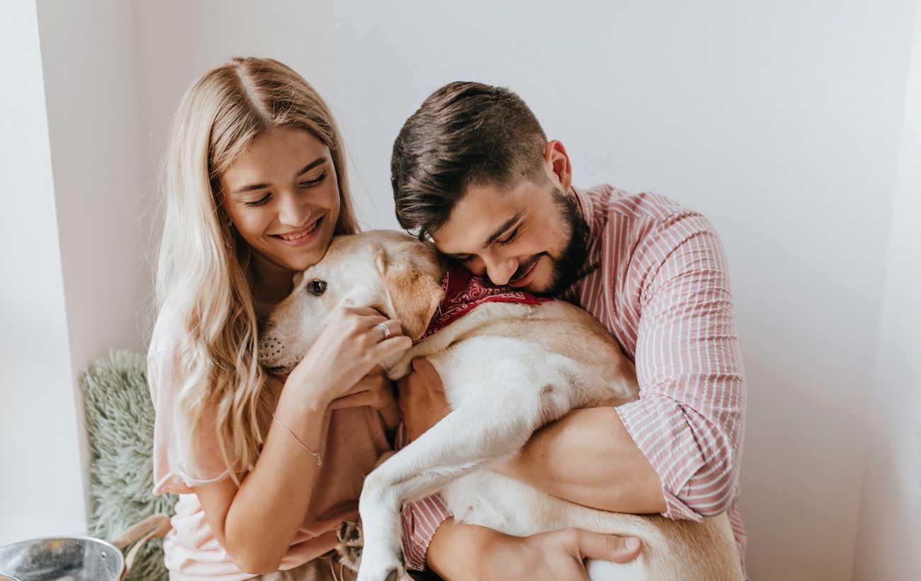 Топ-5 порід собак для новачків: ветеринар назвала найкращих улюбленців